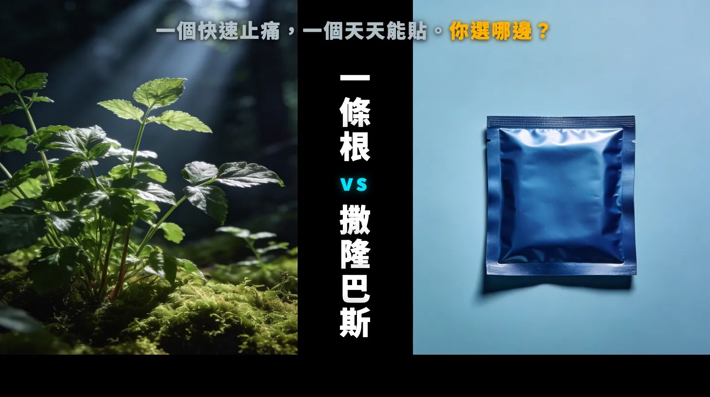 一條根 vs 撒隆巴斯：酸痛貼布怎麼選 - 草本植物對比藍色貼布包裝